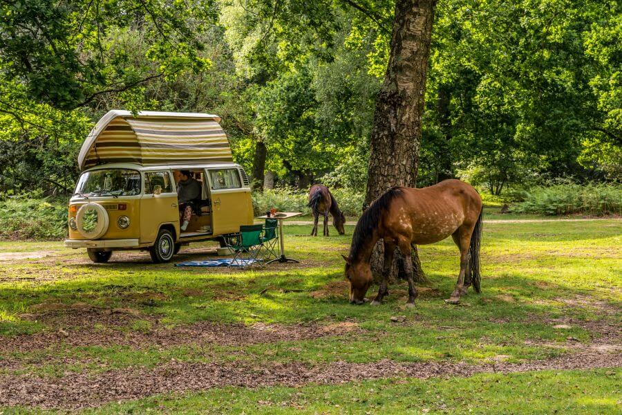 camper van in the new forest