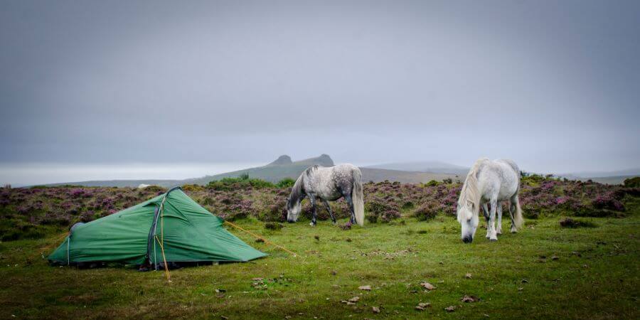 wild camping in dartmoor