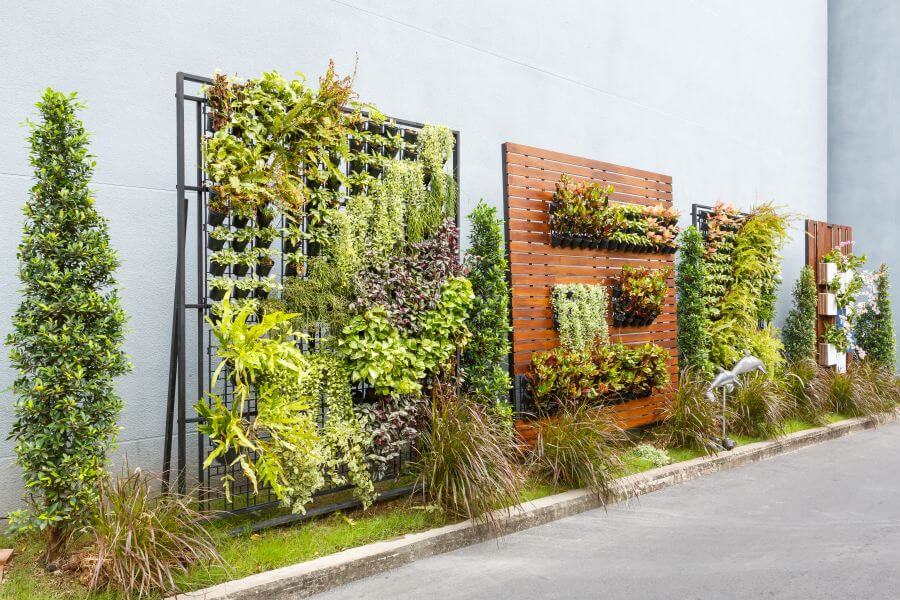 vertical garden green walls